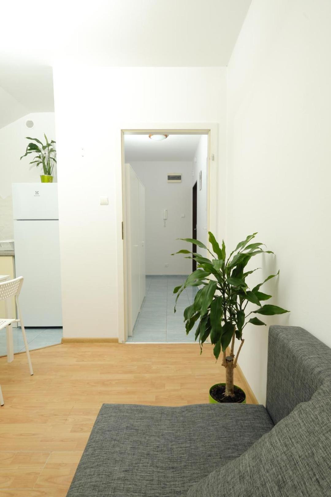Apartament Sloneczny 7 Opole Eksteriør billede